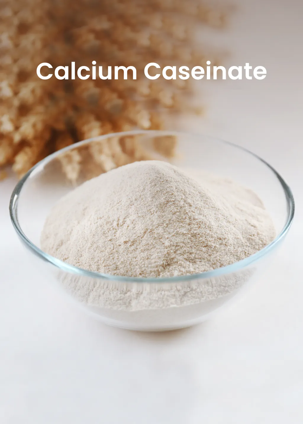 Calcium Caseinate from Milk Powder Asia